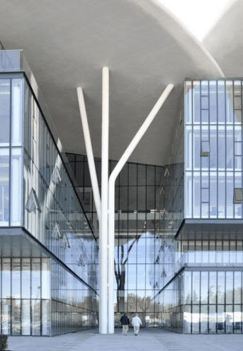 an example of tree-like supporting steel columns